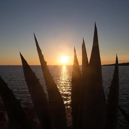 Villa, Stone House With Swimming Pool & Sauna, Beach, セヴィド